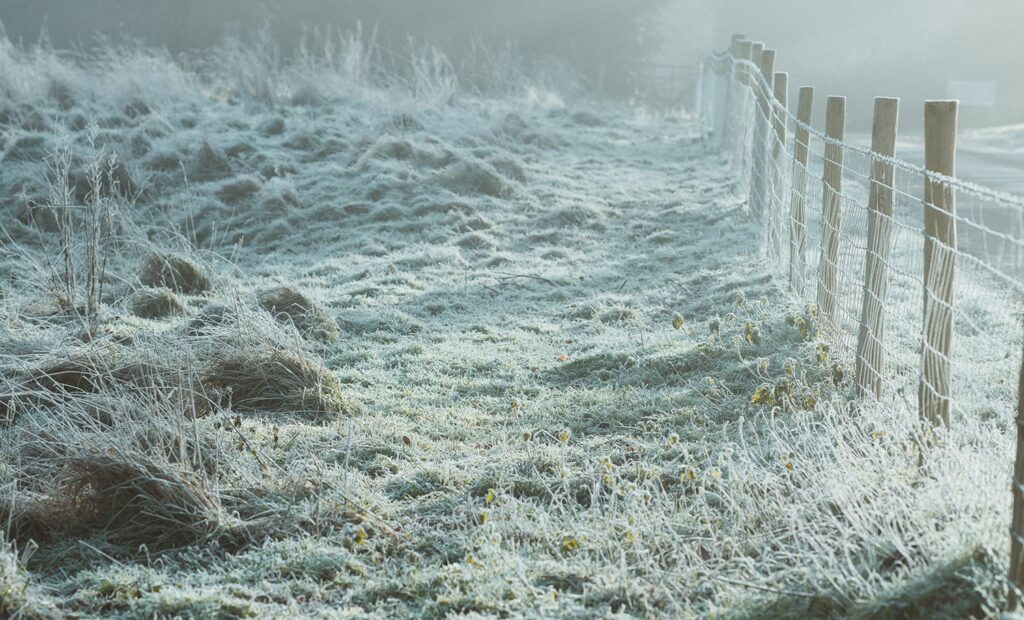 Feature for Inspection and Repairs Inspection and Repairs Winterize Your Fence Richmond Fence