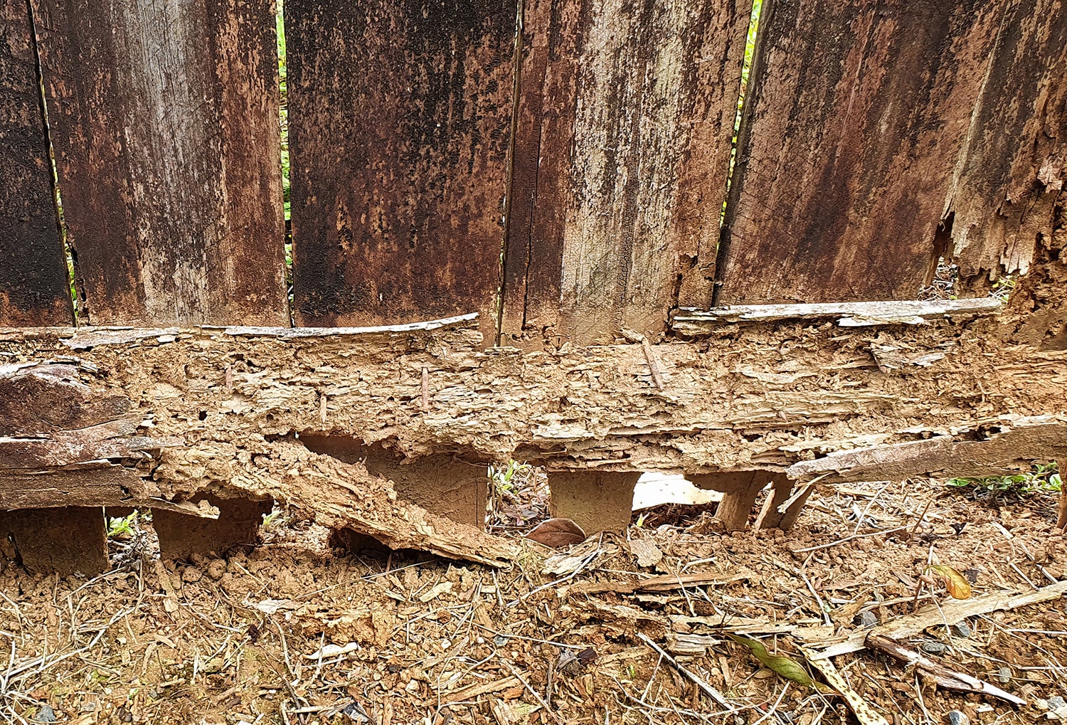 Rotted fence boards crumbling at ground level, the damage a fence rot board helps prevent