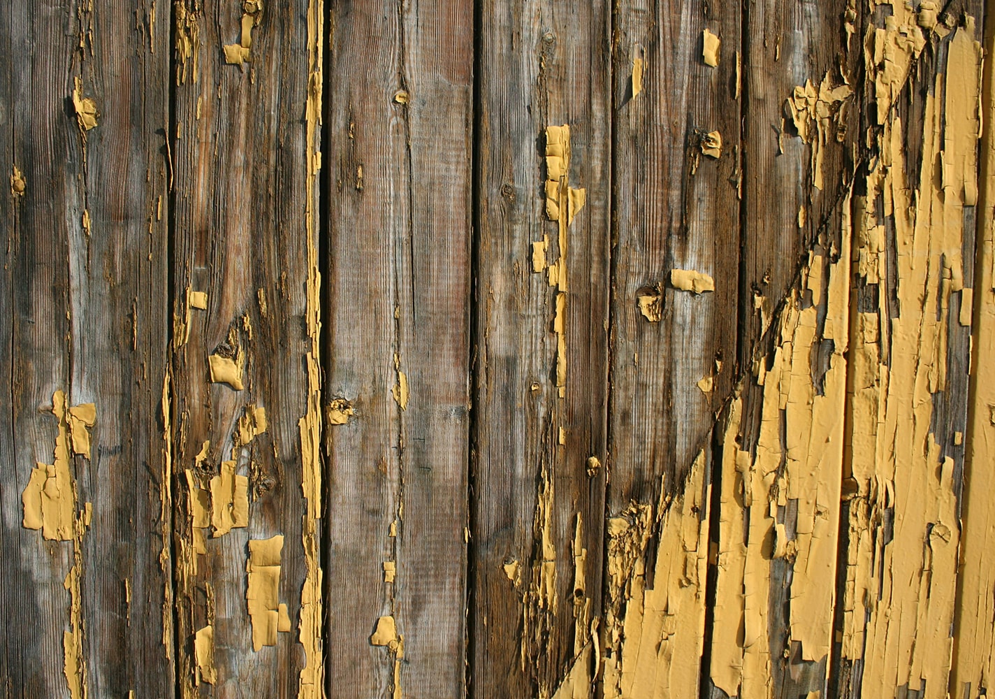 Weathered fence boards with peeling paint and fine cracks along the grain from wood checking