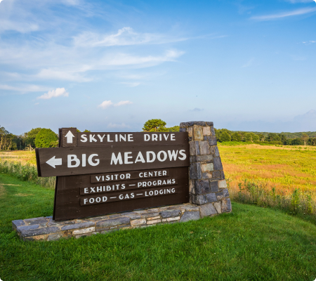 The Meadows Virginia