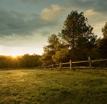 Best Fence Company: Good Neighbor Fence