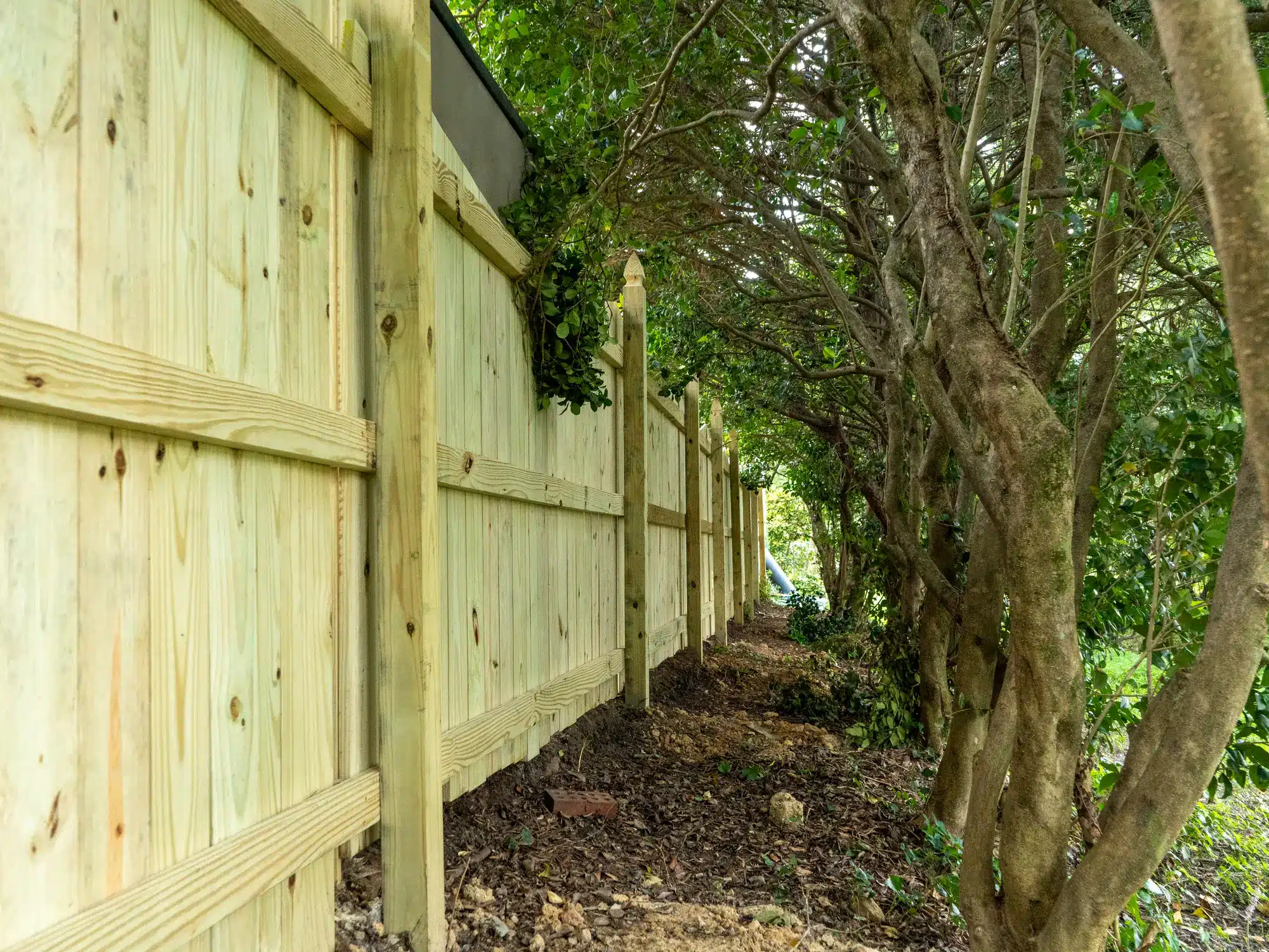 Pressure-treated wood fence posts and rails on the back side of a new privacy fence
