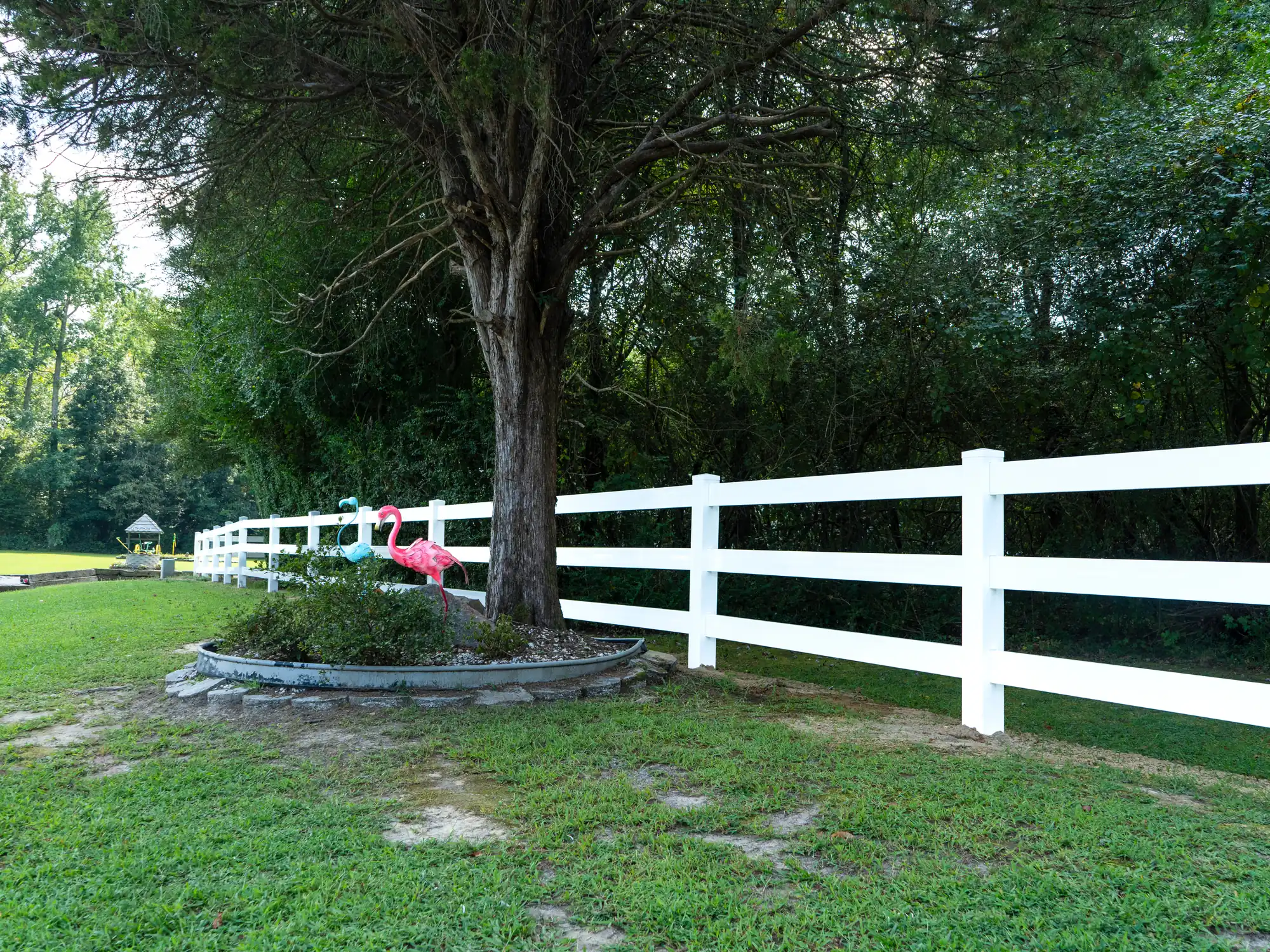 Three-rail white vinyl ranch rail fence behind a mature tree on a New Kent County lawn