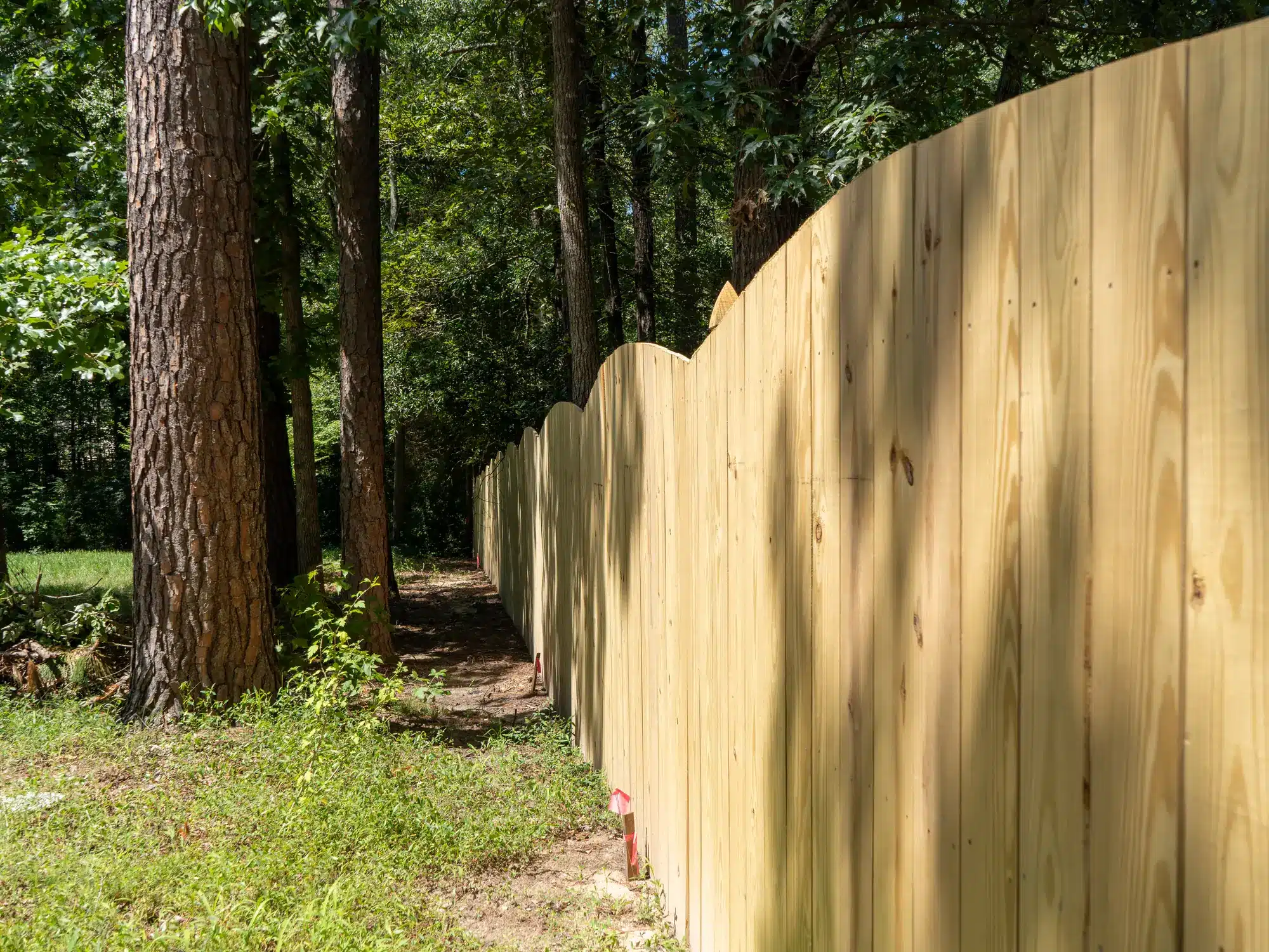 6 foot concave wood privacy fence running through tall pines on a wooded Henrico lot