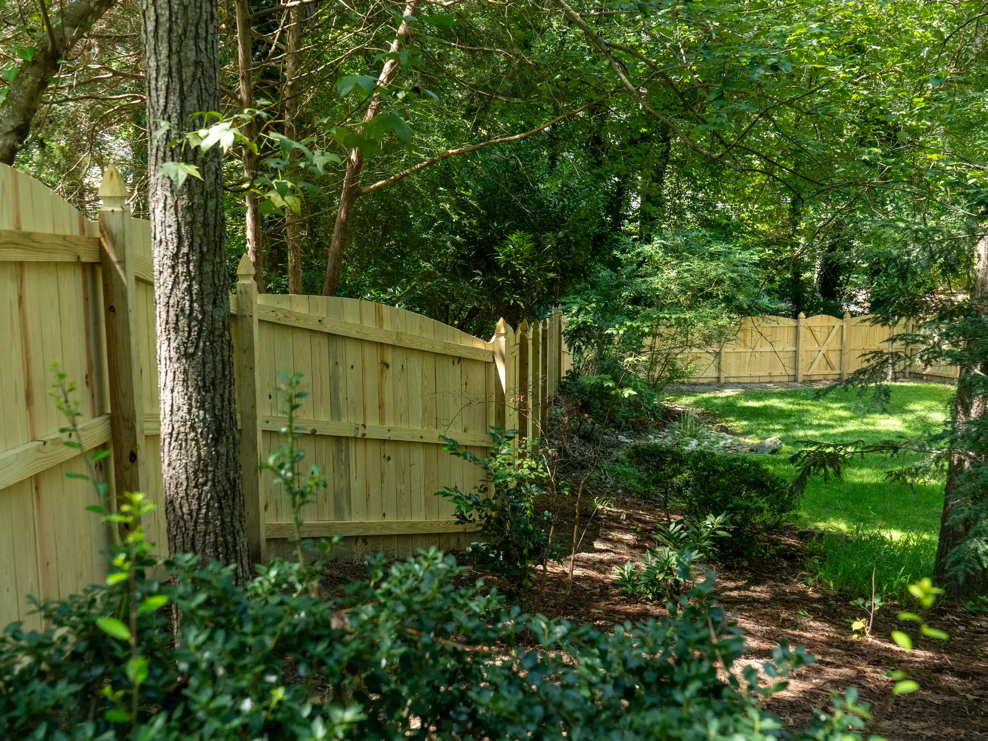 Wood privacy fence winding past trees and shrubs in a shaded Henrico backyard