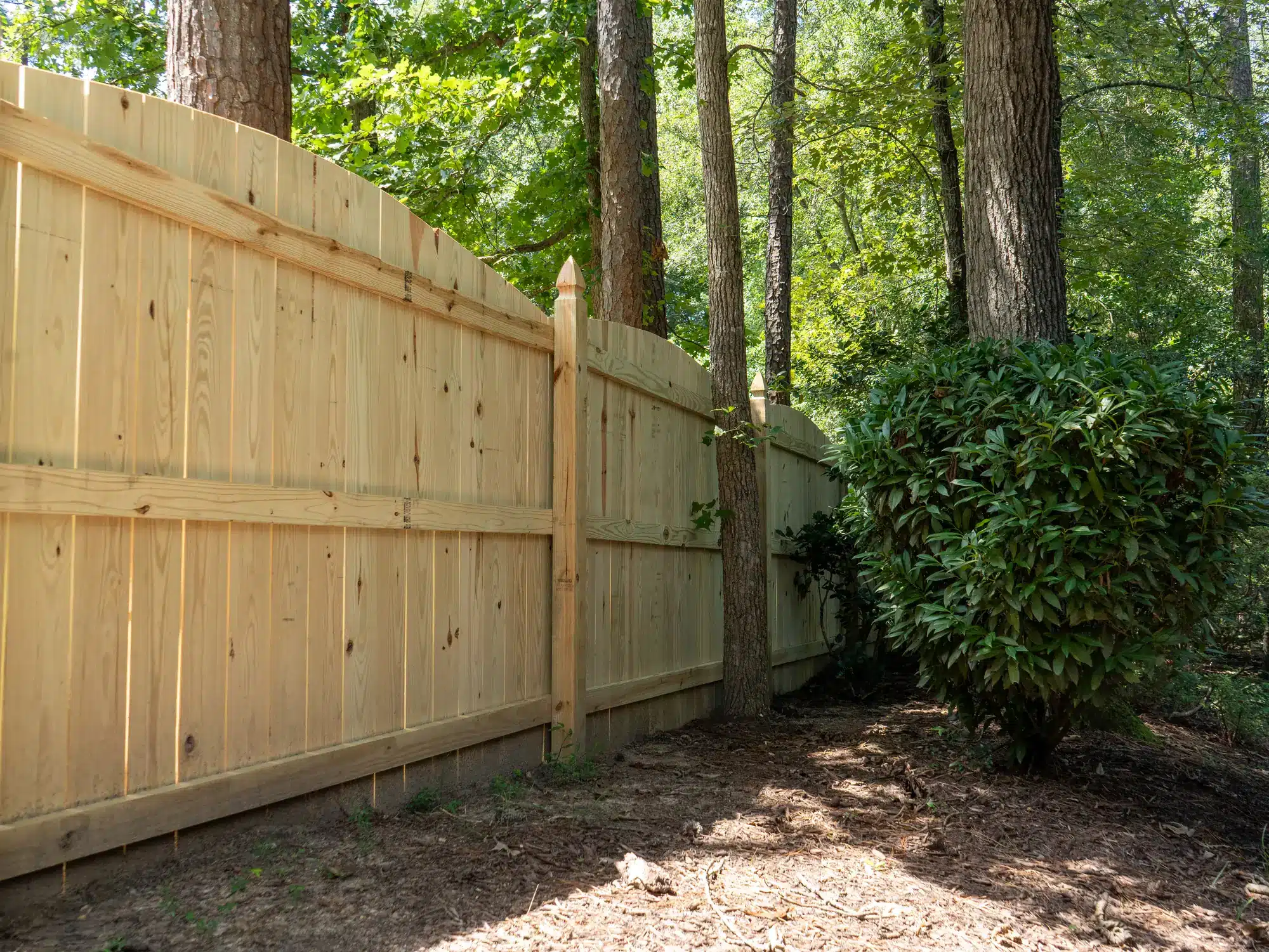 Rail side of a 6 foot pressure-treated privacy fence under tall trees, showing posts and rails built on site