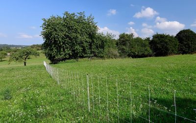 farm fence