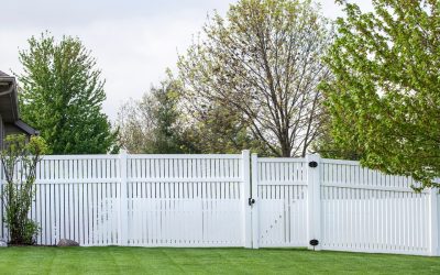 fence for dogs